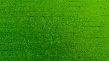 alan arkaplanı, üst manzara manzarası, doğa