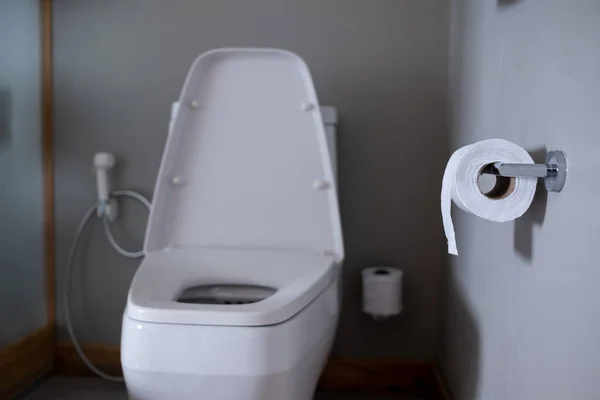 Bibuła Ścianie Toaleta — Zdjęcie stockowe