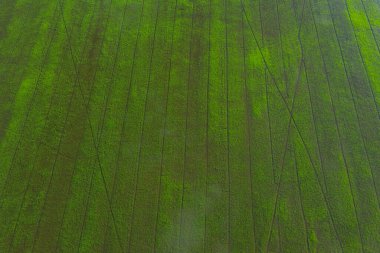 alan arkaplanı, üst manzara manzarası, doğa