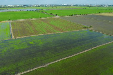 alan arkaplanı, üst manzara manzarası, doğa