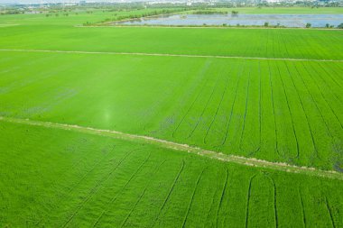 alan arkaplanı, üst manzara manzarası, doğa