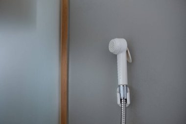 bidet banyosu, bide spreyi, tuvalet