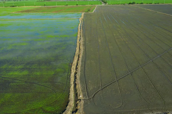alan arkaplanı, üst manzara manzarası, doğa