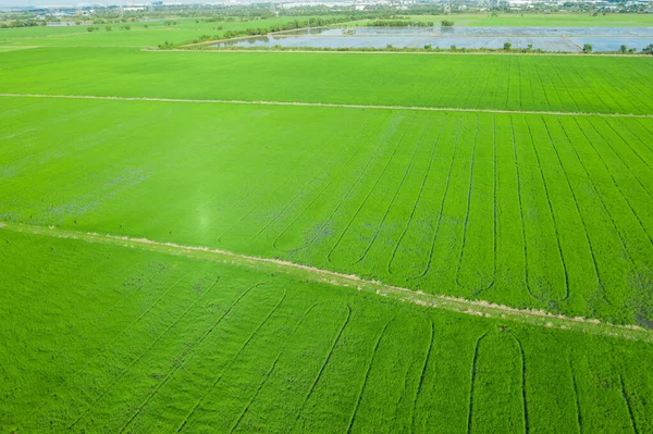 alan arkaplanı, üst manzara manzarası, doğa