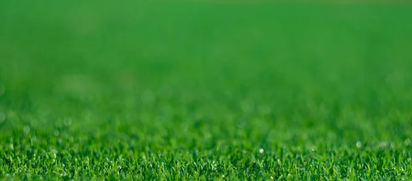 Grönt Gräs Bakgrund Fotbollsplan — Stockfoto