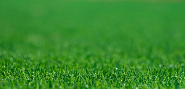 Grama Verde Fundo Campo Futebol — Fotografia de Stock