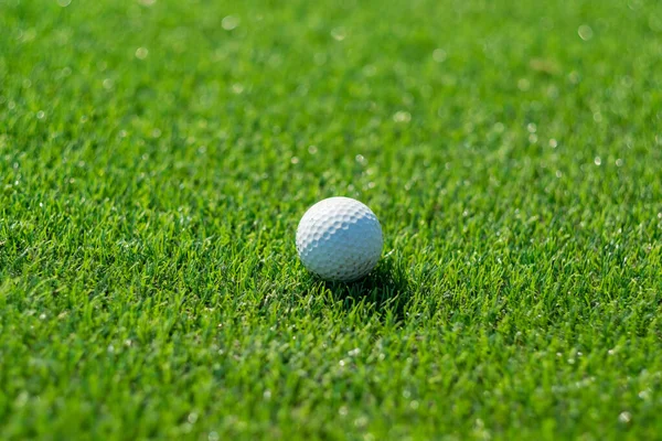 Golf Topları Arka Planı Bulanık Suni Çimlerde — Stok fotoğraf