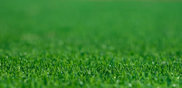 Grönt Gräs Bakgrund Fotbollsplan — Stockfoto