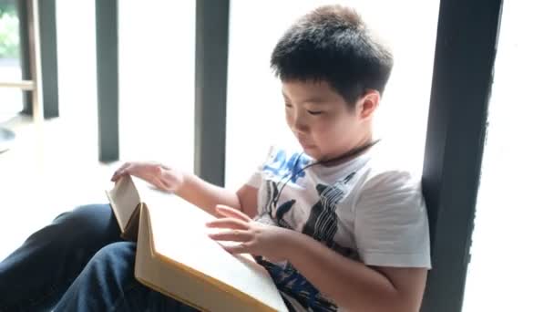 Gyerekek Olvasni Egy Könyvet Oktatási Koncepció Otthoni Iskola — Stock videók