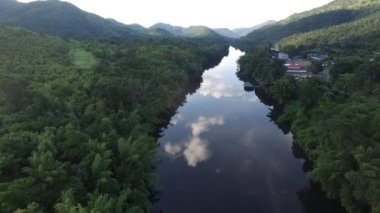 Nehir manzarası ve orman arka planı, büyük ağaç.