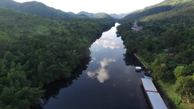 Nehir manzarası ve orman arka planı, büyük ağaç.