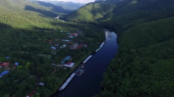 Pemandangan Atas Sungai Dan Latar Belakang Hutan Pohon Besar — Stok Video