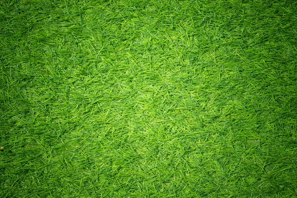 Fondo Hierba Verde Campo Fútbol —  Fotos de Stock