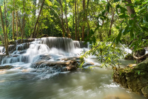 Güzel şelale, orman arka planı, arazi manzarası