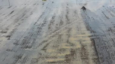 Tarlada traktör, manzara, doğa, pirinç tarlası.