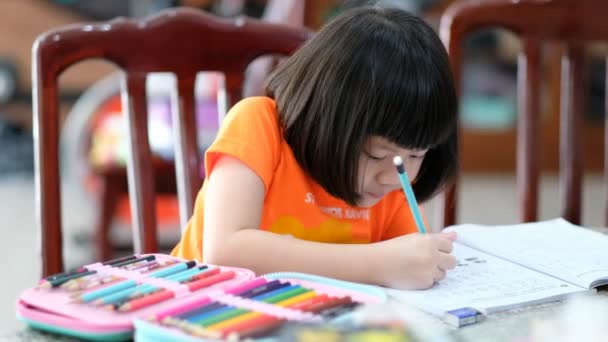 Κορίτσι Που Κάνει Μαθήματά Της Παιδί Που Γράφει Εφημερίδα Έννοια — Αρχείο Βίντεο