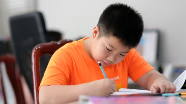 Jongen Doet Huiswerk Kind Schrijven Papier Onderwijs Concept Terug Naar — Stockvideo