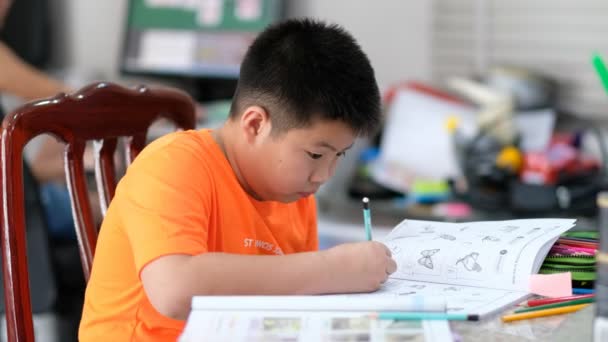 Jongen Doet Huiswerk Kind Schrijven Papier Onderwijs Concept Terug Naar — Stockvideo