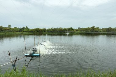 Su pompası balık havuzunda çalışıyor.