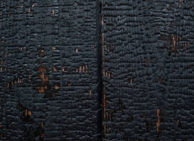 Ahşap arkaplan dokusu, soyut, doğa sırtüstü