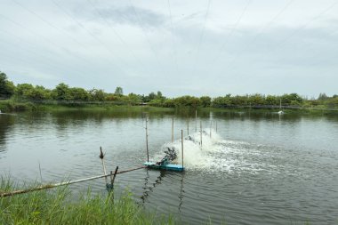 Su pompası balık havuzunda çalışıyor.