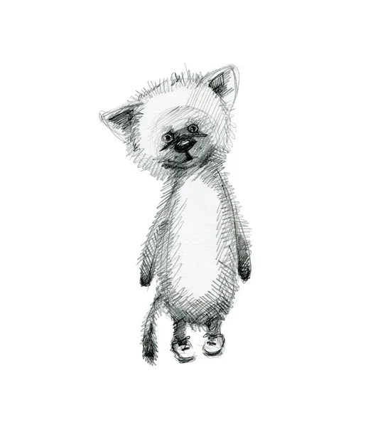 かわいい悲しい子猫。手に白い背景の上のスケッチを描画. — ストック写真