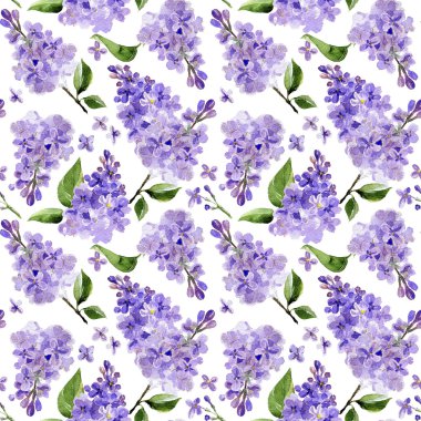 Seamless modeli. Beyaz zemin üzerine suluboya Eflatun çiçekler. 