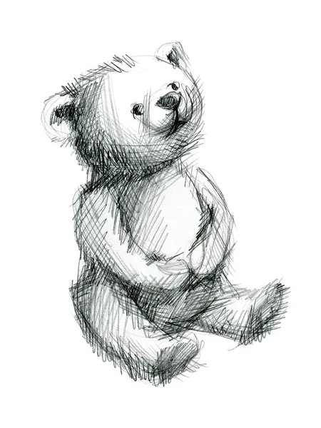 Un nounours pensif. Croquis dessin à la main sur fond blanc . — Photo