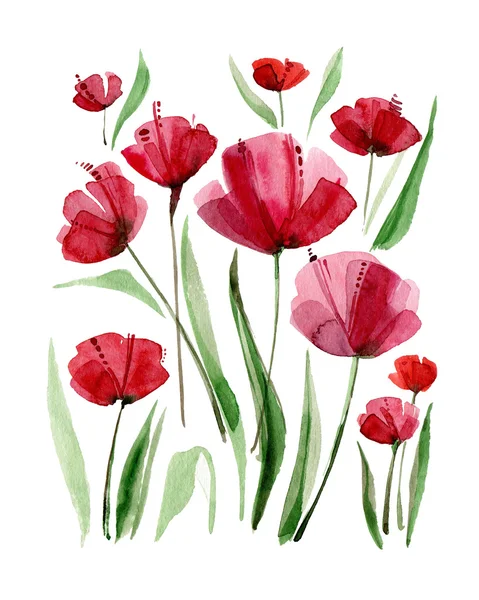 Decoratieve poppy bloemen. Aquarel illustratie. — Stockfoto