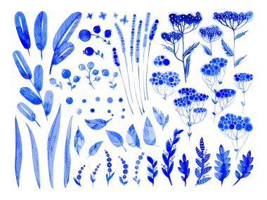 Mavi yapraklar, bitkiler, böğürtlenler ve çiçekler. Beyaz arkaplanda suluboya çizimi.