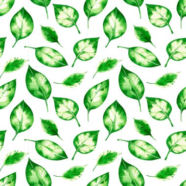 Suluboya kusursuz desen. Beyaz arka planda yalıtılmış hassas tropikal yapraklar. Kumaş, kağıt ve diğer tasarımcılar için.