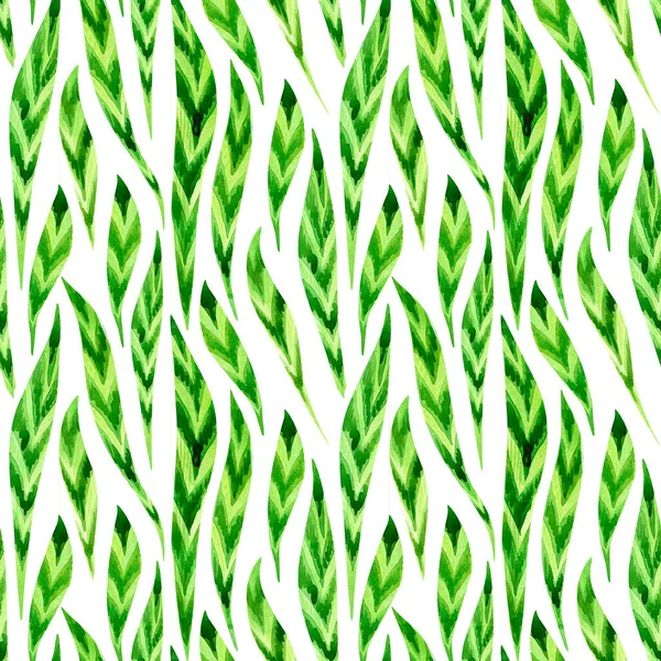 Aquarell Nahtloses Muster Zarte Tropische Blätter Isoliert Auf Weißem Hintergrund — Stockfoto