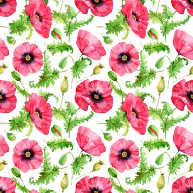 Suluboya kusursuz desen. Narin gelincik çiçekleri, tomurcuklar, kozalar ve oyulmuş yapraklar. Beyaz arkaplan üzerinde izole edilmiş.