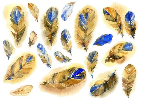 Large Pile Of Yellow And Blue Feathers Are Laying In A Table