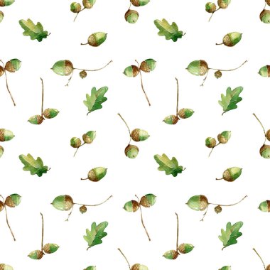 Suluboya kusursuz desen. Beyaz arkaplanda meşe yaprakları ve meşe palamutları izole.