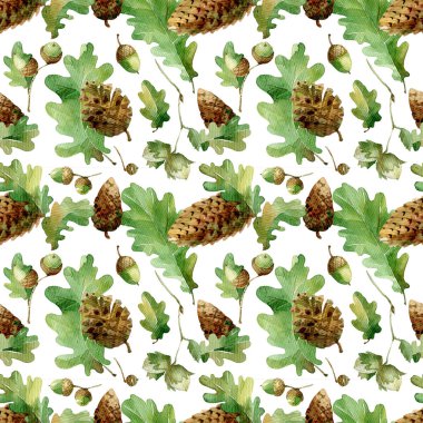 Suluboya kusursuz desen. Meşe yaprakları, meşe palamutları ve koniler, beyaz arka planda izole edilmiş..