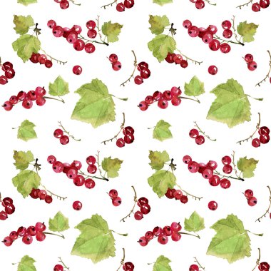 Suluboya Frenk üzümü desen