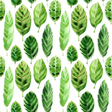 Yeşil tropikal Dikişsiz desen bırakır