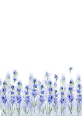 Lavanta suluboya desen