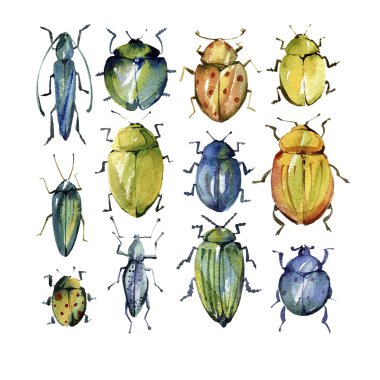 Sulu Boya parlak böcekleri kümesi