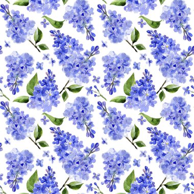 Seamless modeli. Beyaz zemin üzerine suluboya Eflatun çiçekler. 