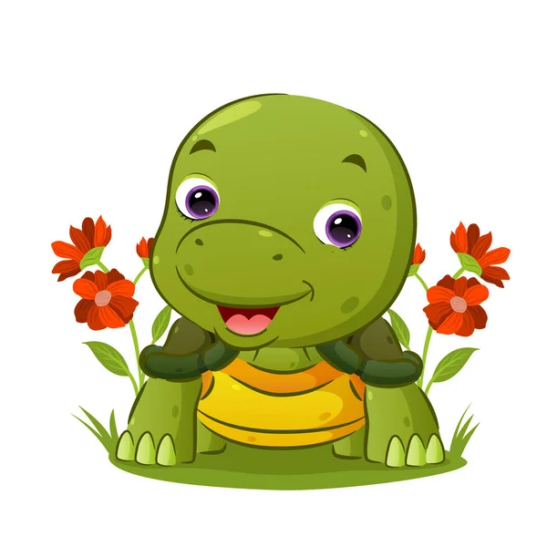 Petite Tortue Rampe Donne Visage Heureux Dans Jardin Illustration — Image vectorielle