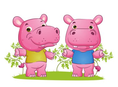 Tatlı su aygırı çifti, resmin bahçesinde farklı pozlarla dans ediyor.