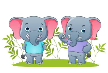 Çift fil, resimlerin arka planında mutlu ve kızgın bir ifade sergiliyor.