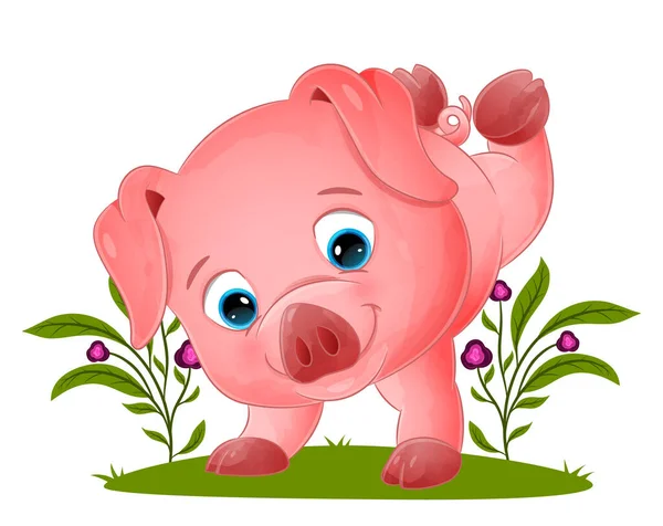 Cochon Mignon Fait Handstand Dans Jardin Illustration — Image vectorielle