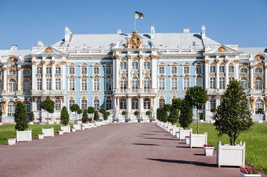Catherine Sarayı tsarskoe Selo