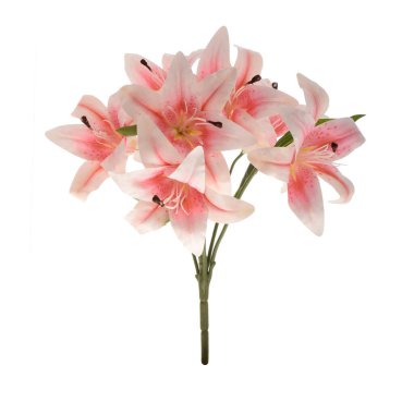 Beyaz arka planda izole edilmiş güzel zambak çiçekleri