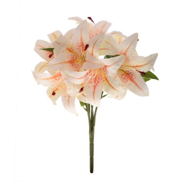 Beyaz arka planda izole edilmiş güzel zambak çiçekleri