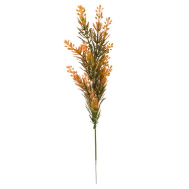 Beyaz arkaplanda çiçekli dal 