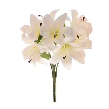 Beyaz arka planda izole edilmiş güzel zambak çiçekleri